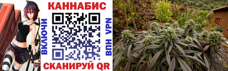Где купить наркоту Сурск ГАШ СОЛЬ АМФ Меф