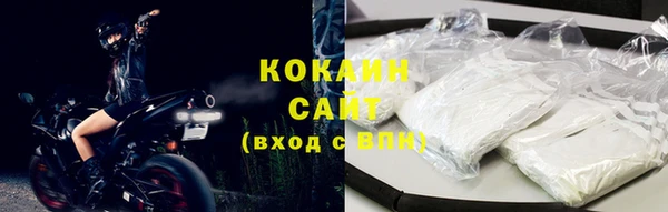 гидра Надым