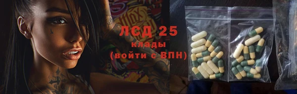 гидра Надым