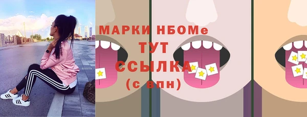 гидра Надым