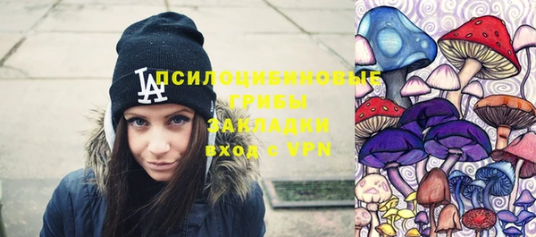 гидра Надым