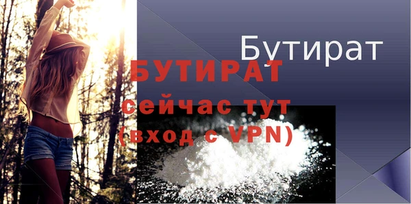 гидра Надым