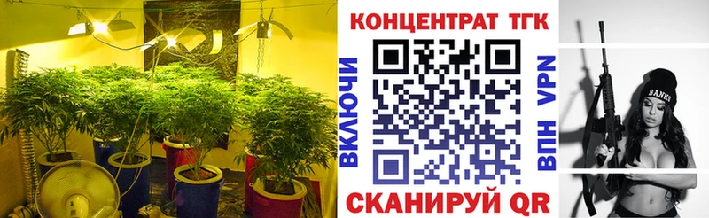 купить закладку  Сурск  ОМГ ОМГ   ТГК гашишное масло 