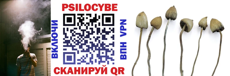 где купить Сурск Псилоцибиновые грибы Psilocybine cubensis